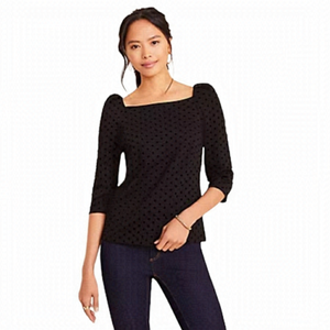 ANN TAYLOR VELVET DOT TOP